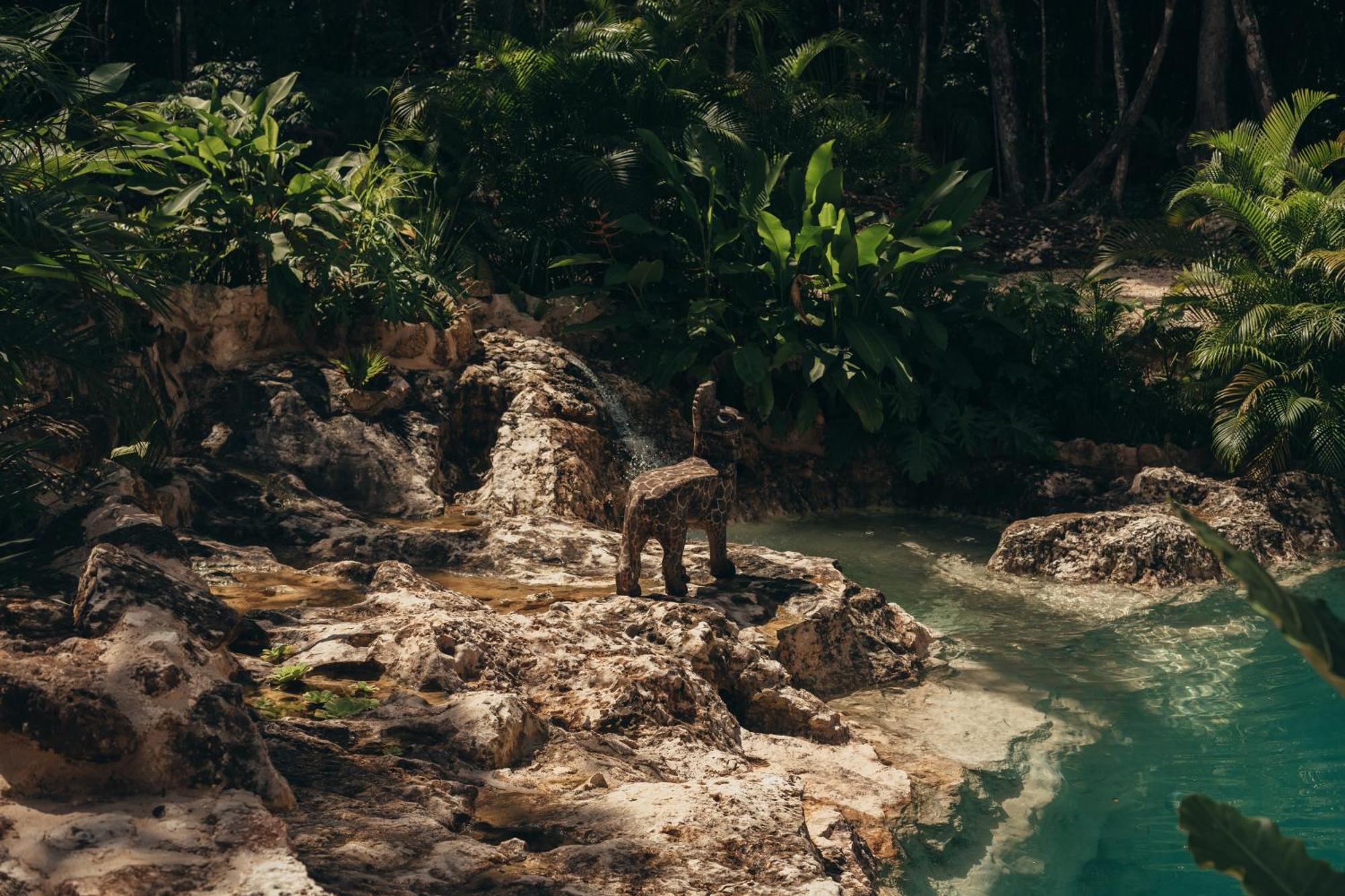 Amaite Retreat Tulum Hotel Macario Gomez Luaran gambar